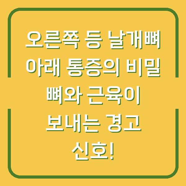 오른쪽 등 날개뼈 아래 통증의 비밀 뼈와 근육이 보내는 경고 신호!