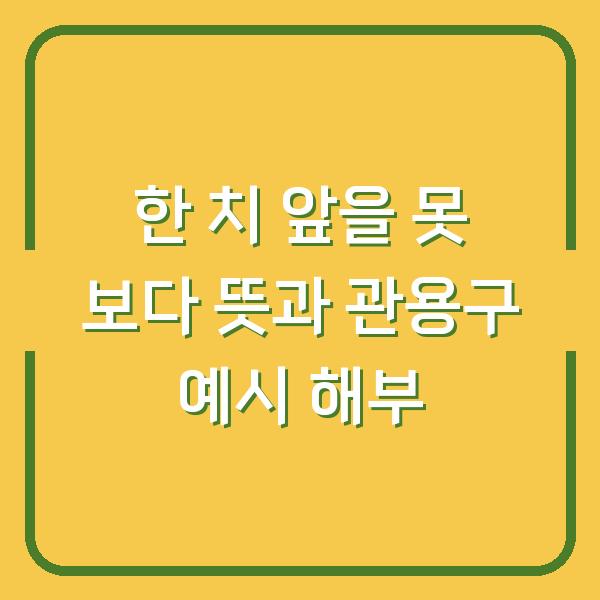 한 치 앞을 못 보다 뜻과 관용구 예시 해부