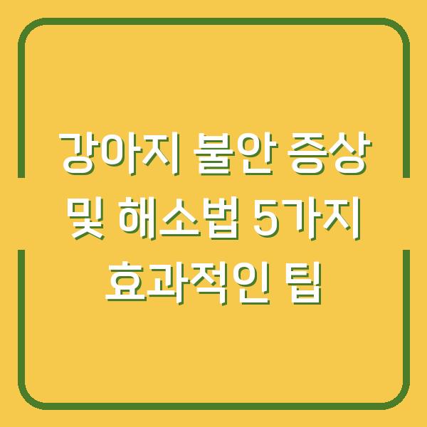 강아지 불안 증상 및 해소법 5가지 효과적인 팁