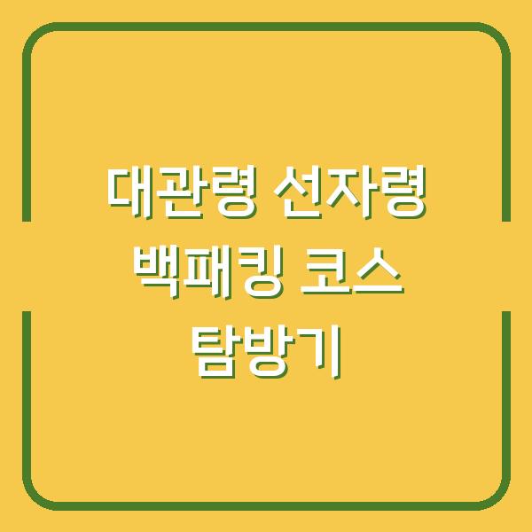대관령 선자령 백패킹 코스 탐방기