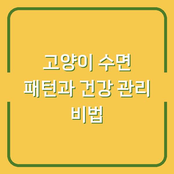 고양이 수면 패턴과 건강 관리 비법