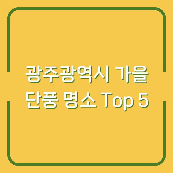 광주광역시 가을 단풍 명소 Top 5