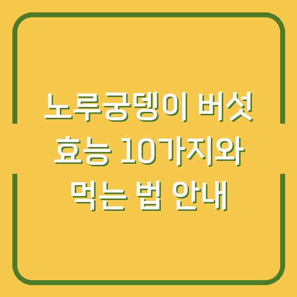 노루궁뎅이 버섯 효능 10가지와 먹는 법 안내