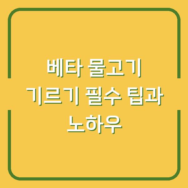 베타 물고기 기르기 필수 팁과 노하우