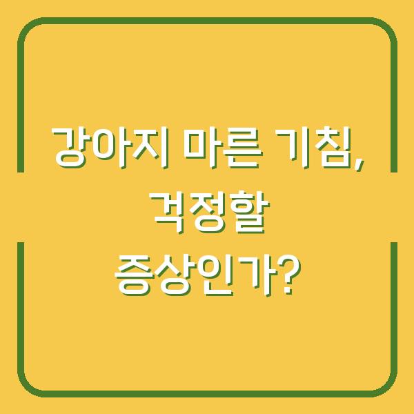 강아지 마른 기침, 걱정할 증상인가?