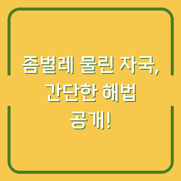 좀벌레 물린 자국, 간단한 해법 공개!
