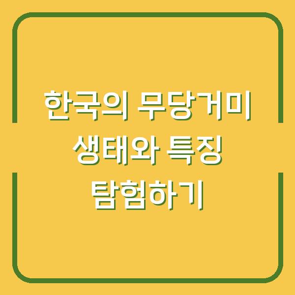한국의 무당거미 생태와 특징 탐험하기