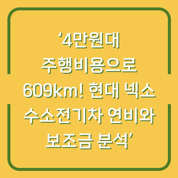 ‘4만원대 주행비용으로 609km! 현대 넥소 수소전기차 연비와 보조금 분석’