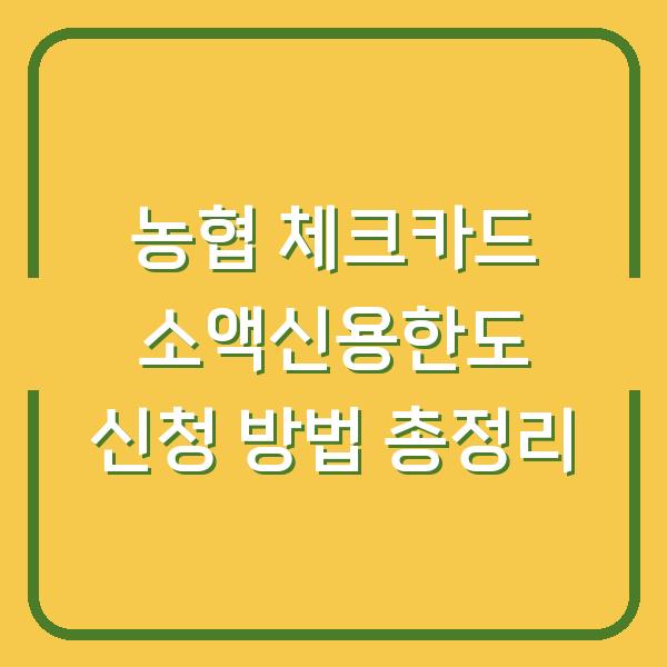 농협 체크카드 소액신용한도 신청 방법 총정리