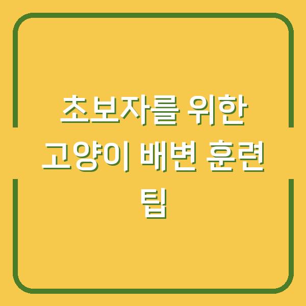 초보자를 위한 고양이 배변 훈련 팁
