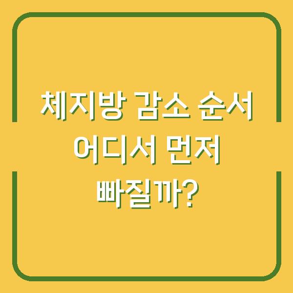 체지방 감소 순서 어디서 먼저 빠질까?