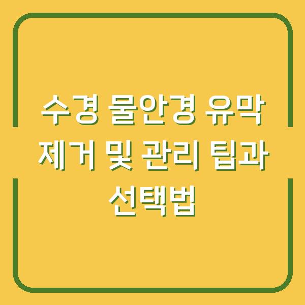 수경 물안경 유막 제거 및 관리 팁과 선택법