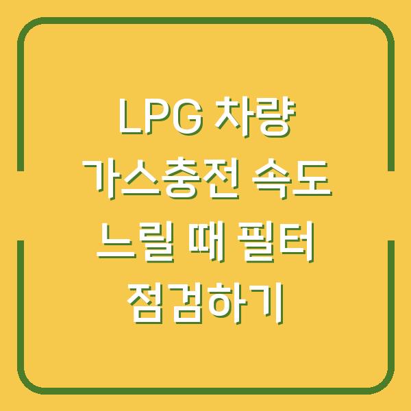 LPG 차량 가스충전 속도 느릴 때 필터 점검하기