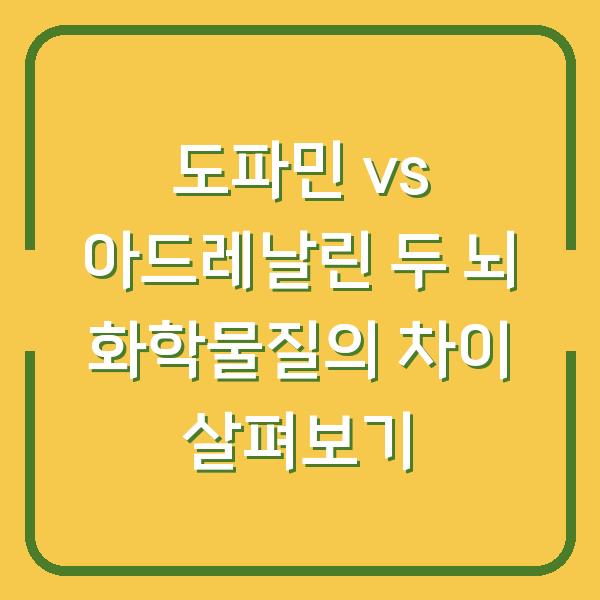 도파민 vs 아드레날린 두 뇌 화학물질의 차이 살펴보기