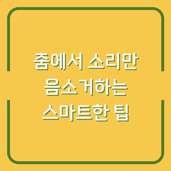 줌에서 소리만 음소거하는 스마트한 팁