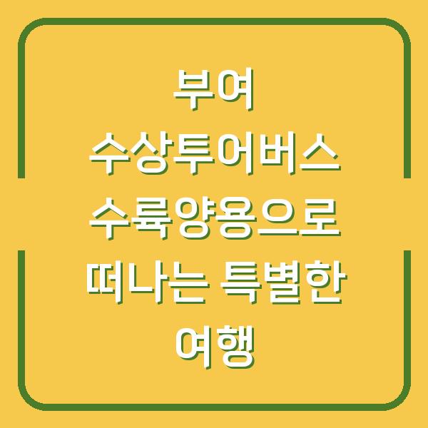 부여 수상투어버스 수륙양용으로 떠나는 특별한 여행