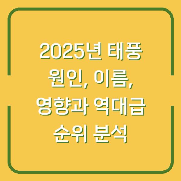2025년 태풍 원인, 이름, 영향과 역대급 순위 분석