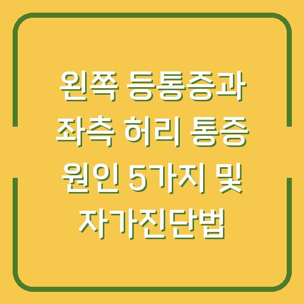 왼쪽 등통증과 좌측 허리 통증 원인 5가지 및 자가진단법