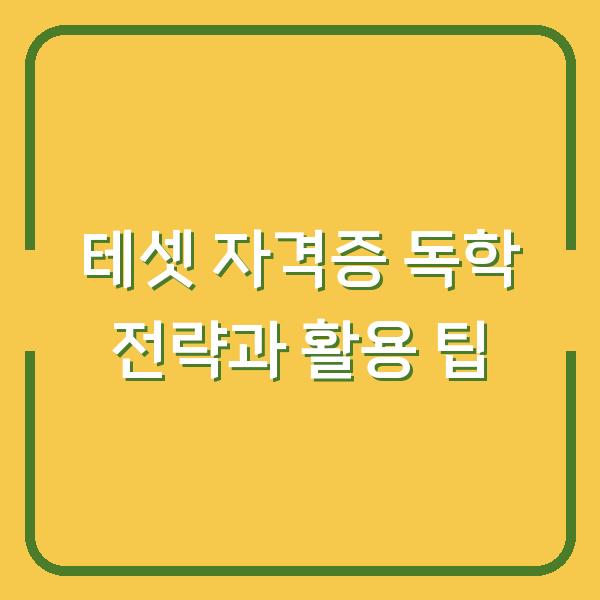 테셋 자격증 독학 전략과 활용 팁