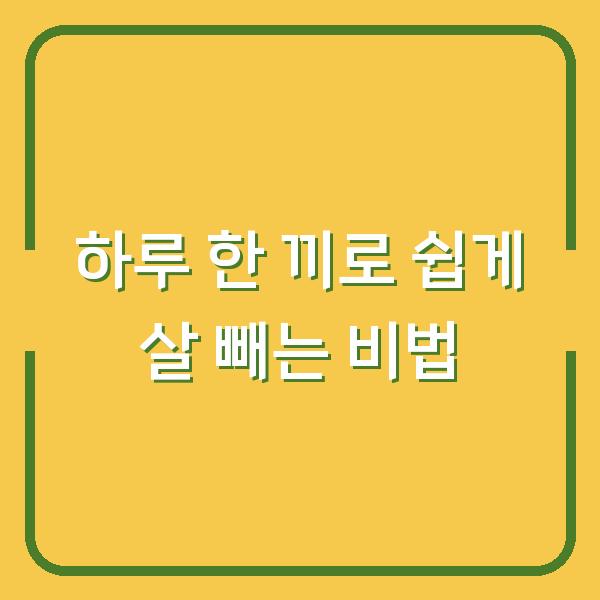 하루 한 끼로 쉽게 살 빼는 비법