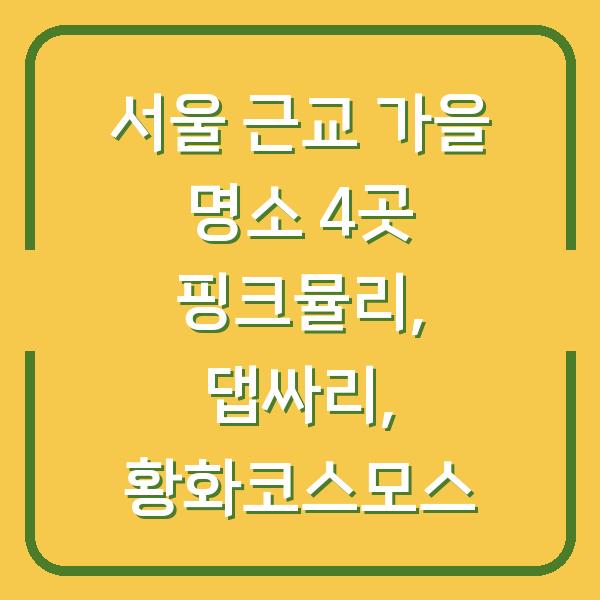 서울 근교 가을 명소 4곳 핑크뮬리, 댑싸리, 황화코스모스