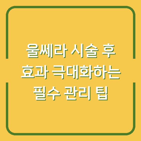 울쎄라 시술 후 효과 극대화하는 필수 관리 팁
