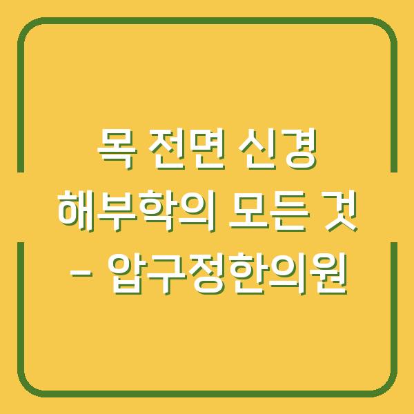 목 전면 신경 해부학의 모든 것 – 압구정한의원