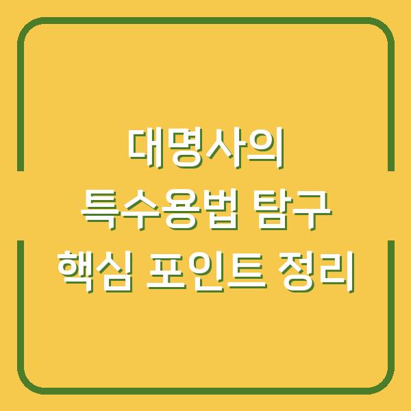대명사의 특수용법 탐구 핵심 포인트 정리