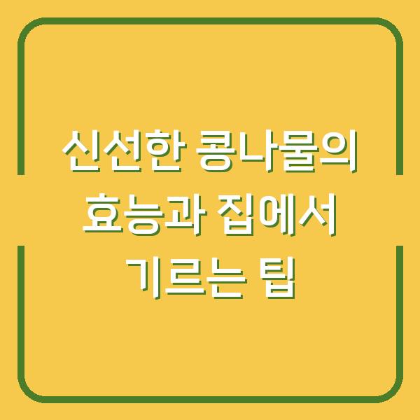 신선한 콩나물의 효능과 집에서 기르는 팁