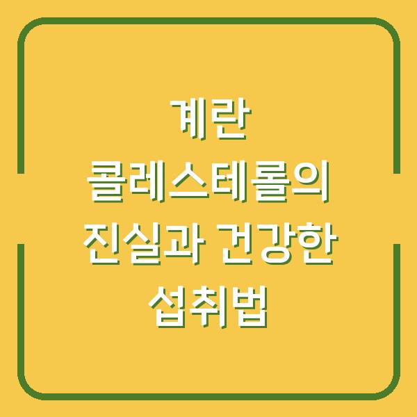 계란 콜레스테롤의 진실과 건강한 섭취법