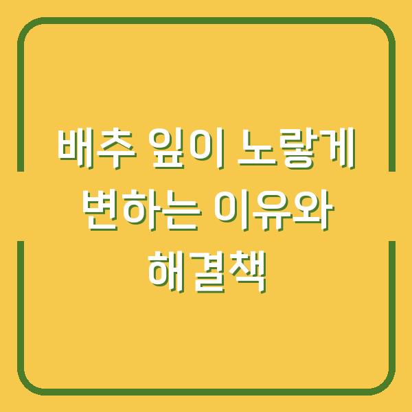 배추 잎이 노랗게 변하는 이유와 해결책