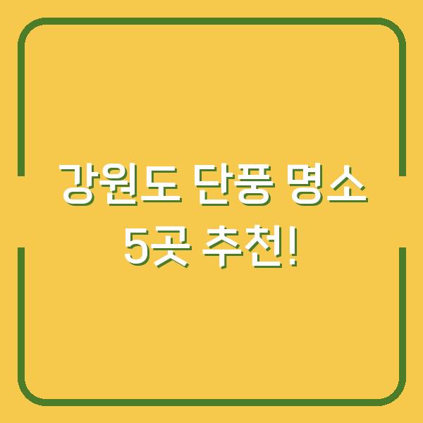 강원도 단풍 명소 5곳 추천!