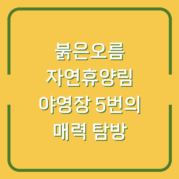 붉은오름 자연휴양림 야영장 5번의 매력 탐방