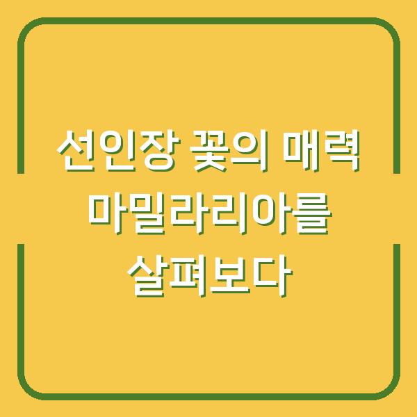 선인장 꽃의 매력 마밀라리아를 살펴보다
