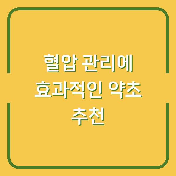 혈압 관리에 효과적인 약초 추천