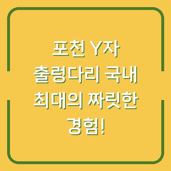 포천 Y자 출렁다리 국내 최대의 짜릿한 경험!