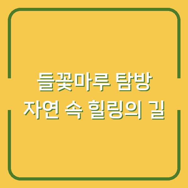 들꽃마루 탐방 자연 속 힐링의 길