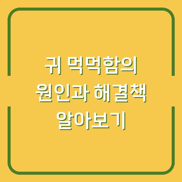 귀 먹먹함의 원인과 해결책 알아보기