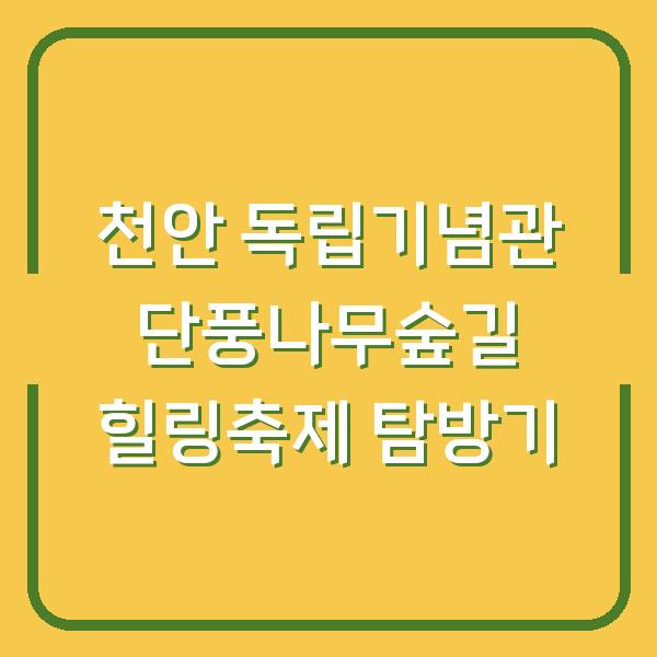 천안 독립기념관 단풍나무숲길 힐링축제 탐방기