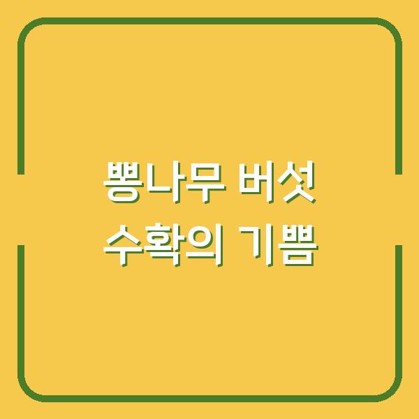 뽕나무 버섯 수확의 기쁨