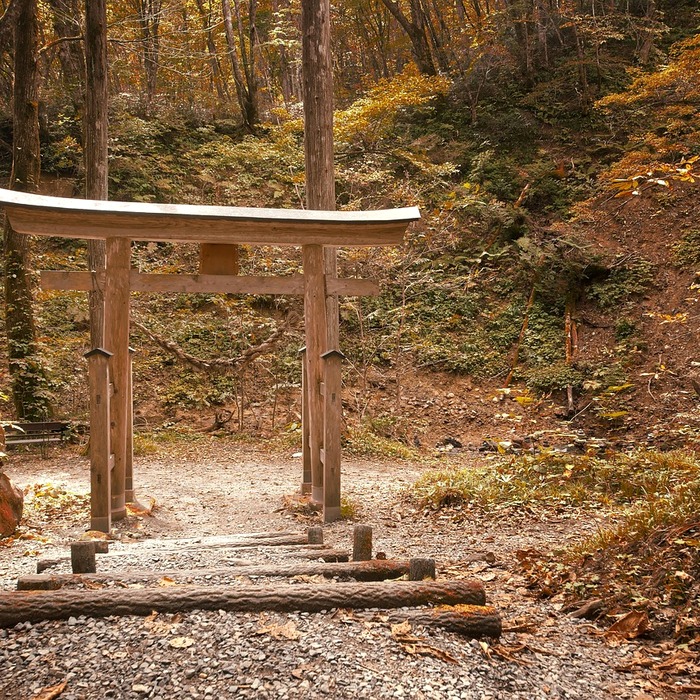 일본 현금 문화