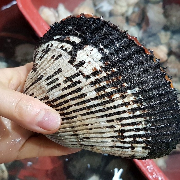 저칼로리 안주