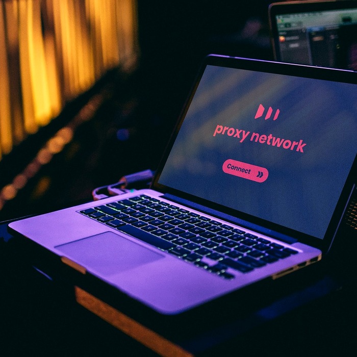 미국 IP 주소