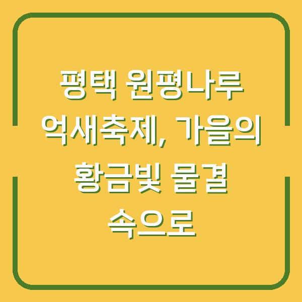 평택 원평나루 억새축제, 가을의 황금빛 물결 속으로
