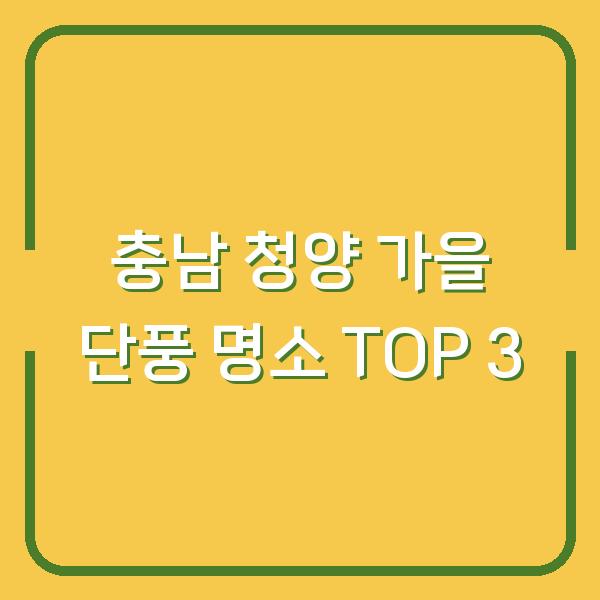 충남 청양 가을 단풍 명소 TOP 3