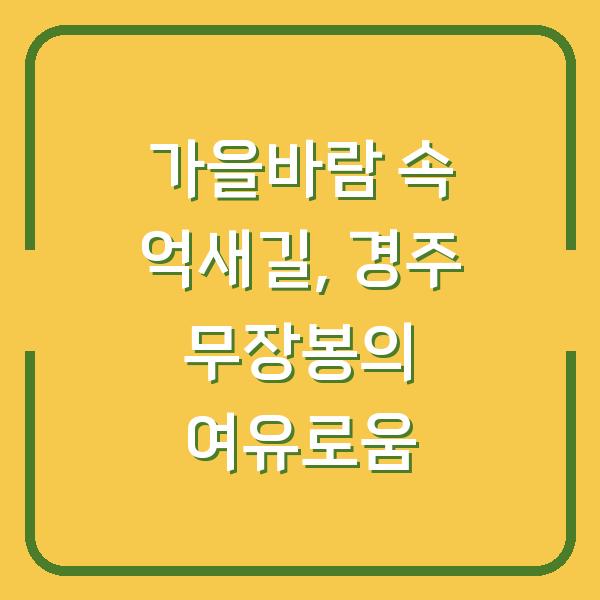 가을바람 속 억새길, 경주 무장봉의 여유로움