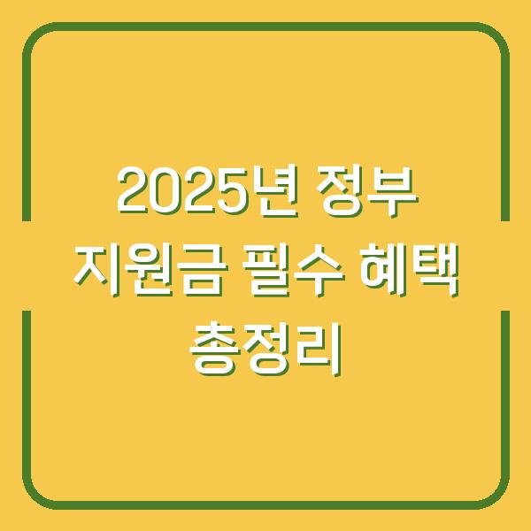 2025년 정부 지원금 필수 혜택 총정리
