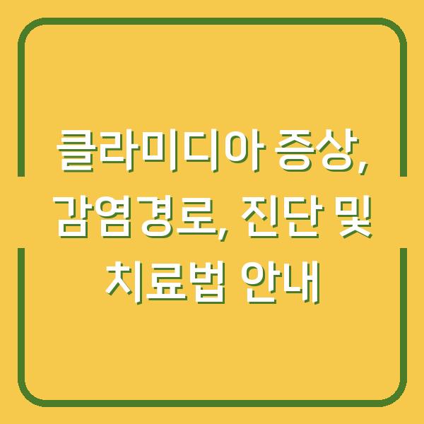 클라미디아 증상, 감염경로, 진단 및 치료법 안내