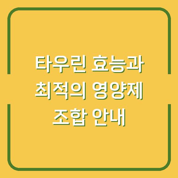 타우린 효능과 최적의 영양제 조합 안내
