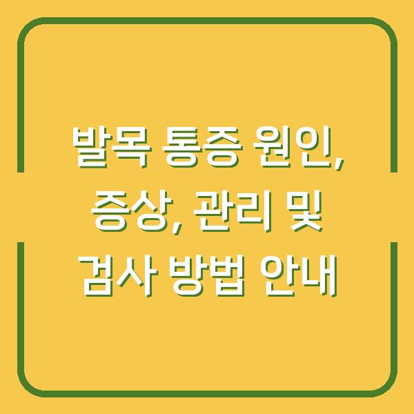 발목 통증 원인, 증상, 관리 및 검사 방법 안내